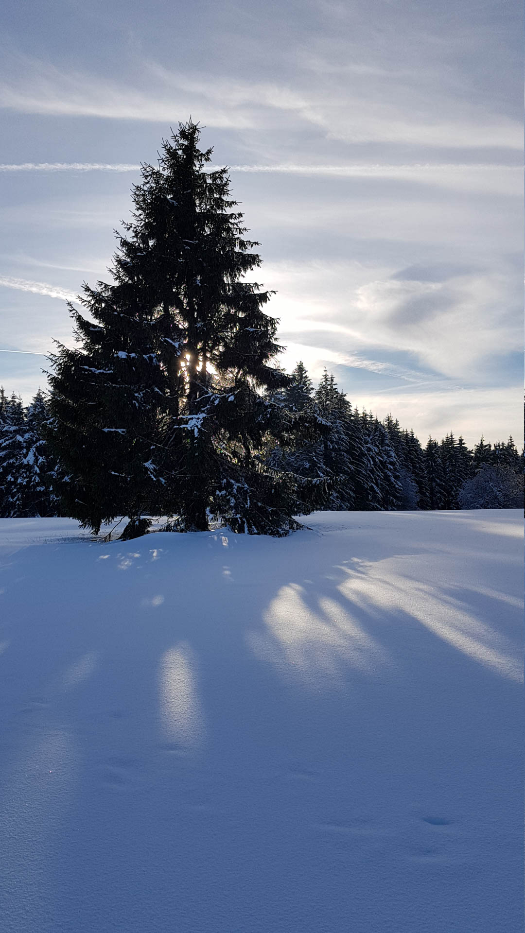Feuerberg_Winter_2019-02-06-132