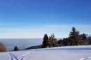 Feuerberg_Winter_2019-02-06-129