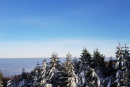 Feuerberg_Winter_2019-02-06-175