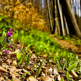Feuerberg_April_2019-104