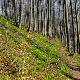 Feuerberg_April_2019-105