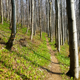 Feuerberg_April_2019-107