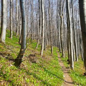 Feuerberg_April_2019-108