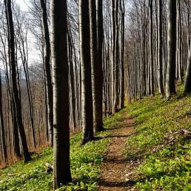 Feuerberg_April_2019-109