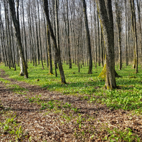 Feuerberg_April_2019-113