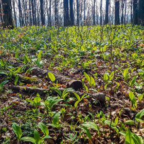 Feuerberg_April_2019-115