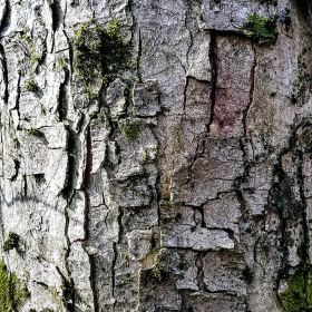 Feuerberg_April_2019-117