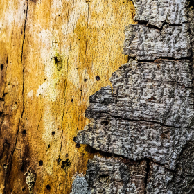 Feuerberg_April_2019-121