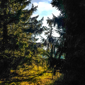 Feuerberg_April_2019-132