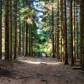 Feuerberg_April_2019-133