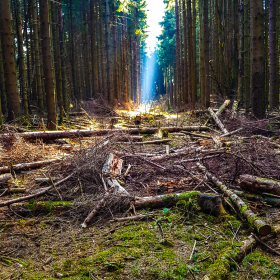 Feuerberg_April_2019-134