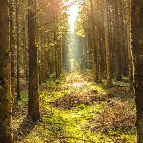 Feuerberg_April_2019-135