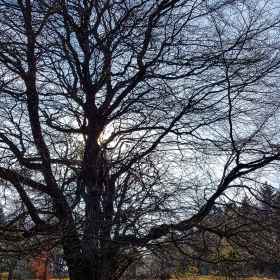 Feuerberg_April_2019-140