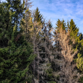 Feuerberg_April_2019-141