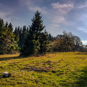 Feuerberg_April_2019-142