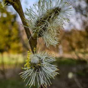 Feuerberg_April_2019-148
