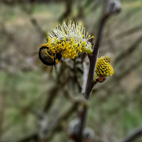 Feuerberg_April_2019-150