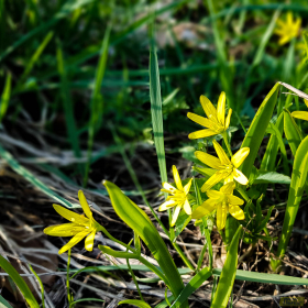 Feuerberg_April_2019-151