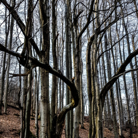 Feuerberg_April_2019-154