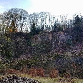 Feuerberg_April_2019-155