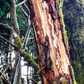 Feuerberg_April_2019-164