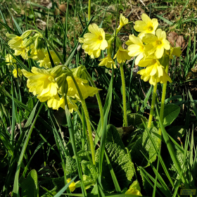 Feuerberg_April_2019-170